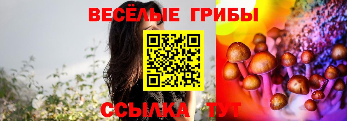 где купить наркоту  Вход с VPN  Дивногорск  Псилоцибиновые грибы GOLDEN TEACHER  Псилоцибиновые грибы ЛСД 